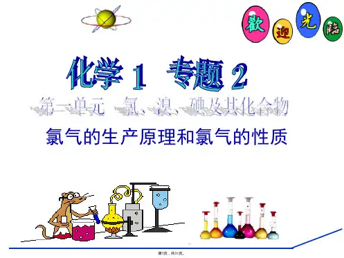 6氯气的生产原理和氯气的性质