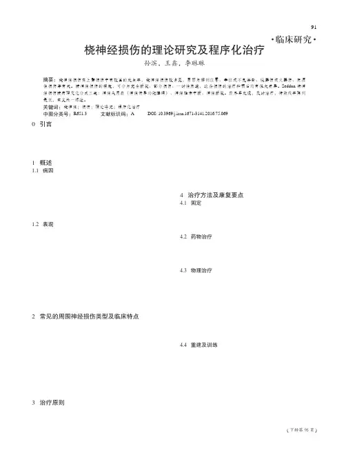 桡神经损伤的理论研究及程序化治疗