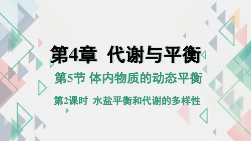 体内物质的动态平衡(第2课时PPT课件(初中科学)共22张)