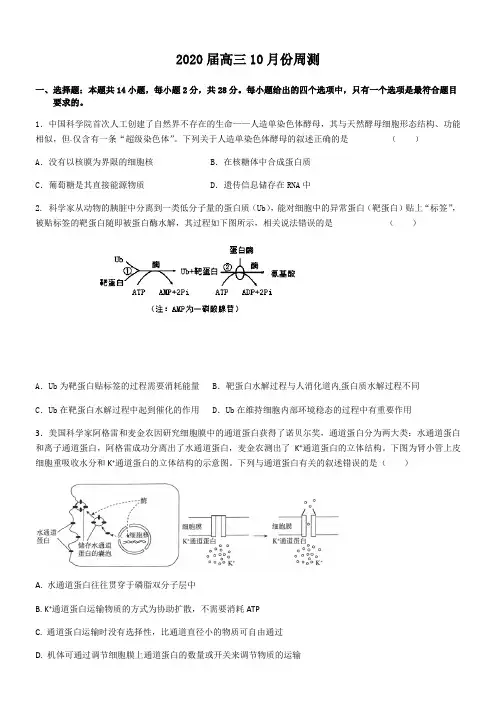 山东济南章丘第四中学高三10月月考生物试题含答案