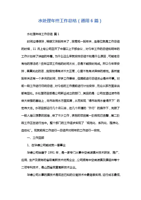 水处理年终工作总结(通用6篇)
