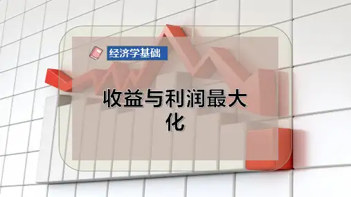 收益与利润最大化