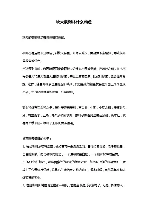 秋天枫树林什么颜色