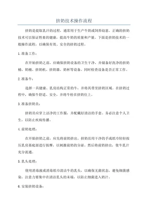 挤奶技术操作流程