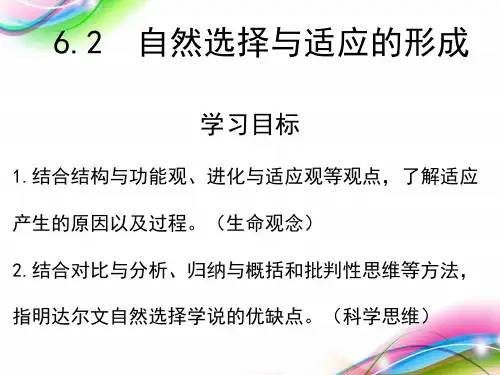 (新教材)自然选择与适应的形成ppt教学课件人教版1全篇