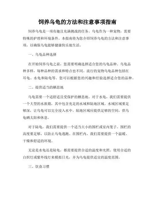 饲养乌龟的方法和注意事项指南