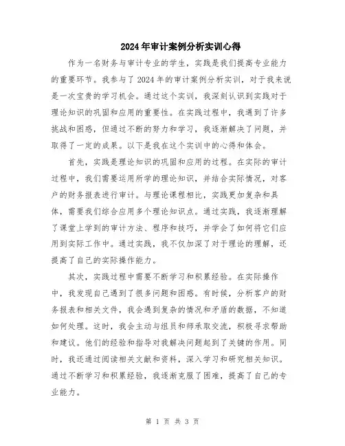 2024年审计案例分析实训心得