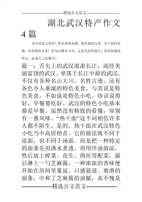 湖北武汉特产作文4篇