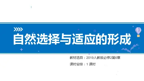 自然选择与适应的形成