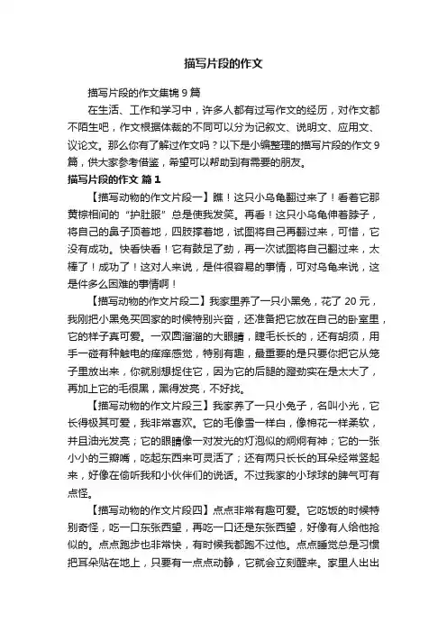 描写片段的作文集锦9篇