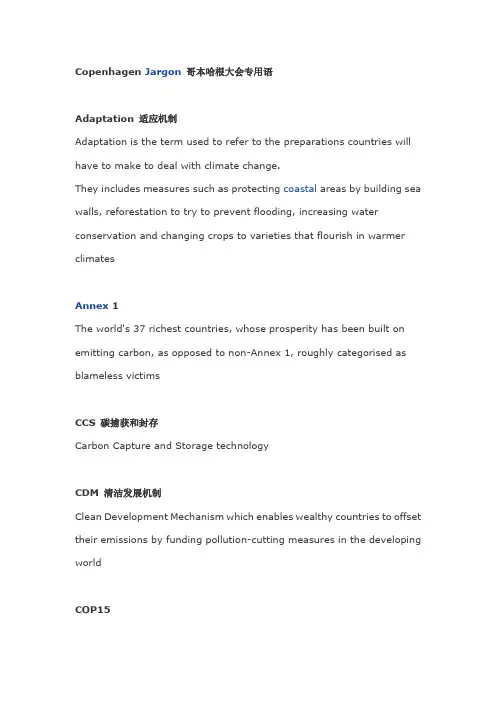 Copenhagen Jargon 哥本哈根大会专用语