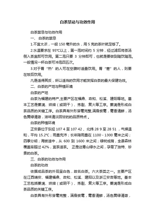 白茶禁忌与功效作用