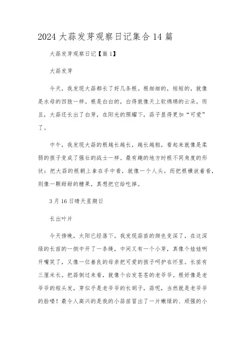 2024大蒜发芽观察日记集合14篇