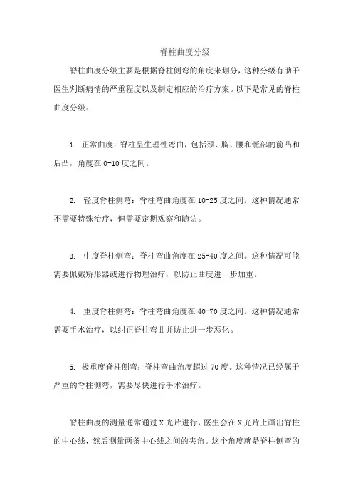 脊柱曲度分级