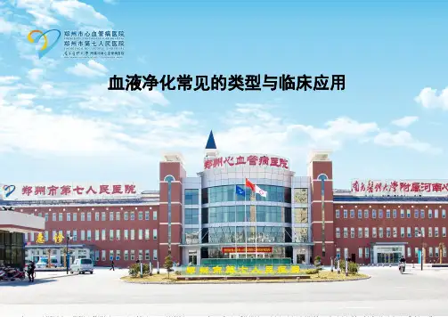 血液透析模式的选择