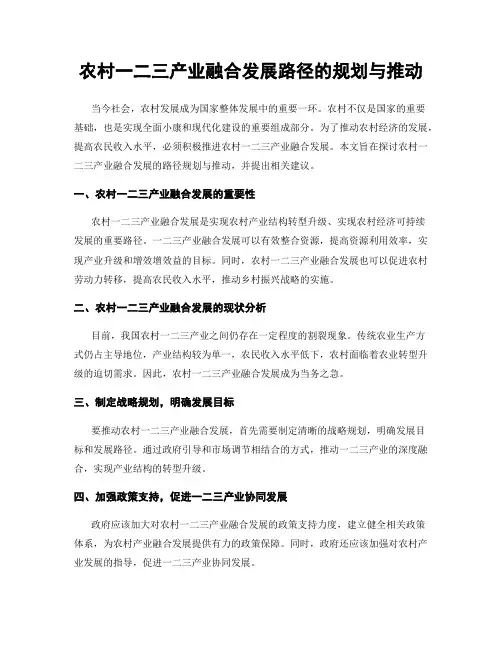 农村一二三产业融合发展路径的规划与推动
