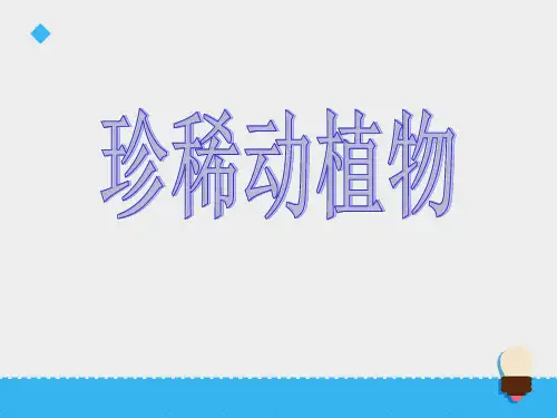 六年级上册科学课件-第五单元珍稀动植物第1课时∣青岛版 (六年制,三起)(共25张PPT)