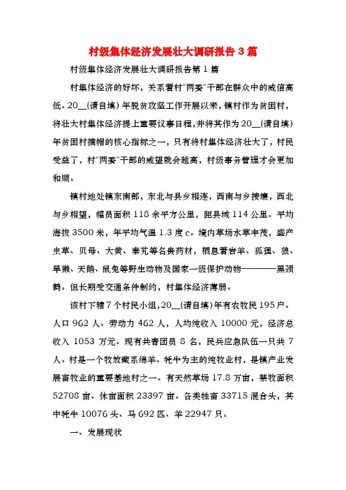 村级集体经济发展壮大调研报告3篇