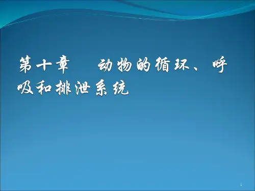 第十章 动物的循环、呼吸和排泄系统