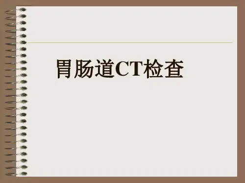 胃肠道CT检查
