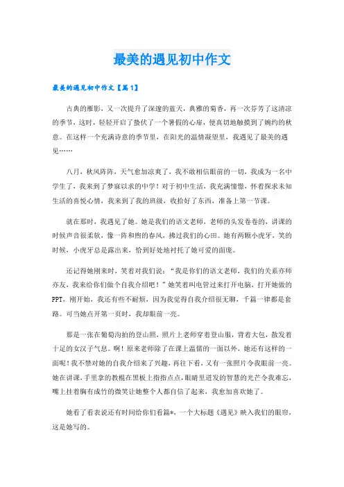 最美的遇见初中作文
