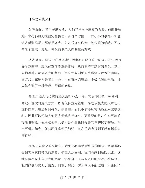 冬之乐烧火作文范文