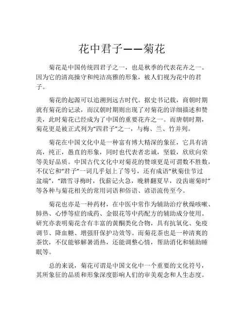花中君子——菊花