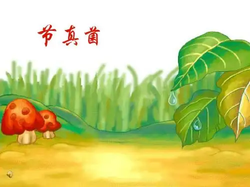 真菌PPT课件23 通用