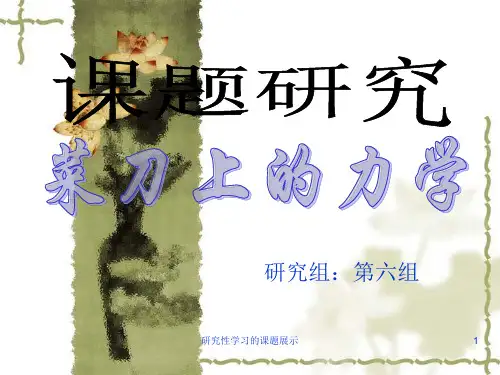 研究性学习的课题展示 ppt课件