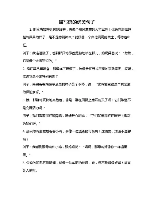 描写鸡的优美句子