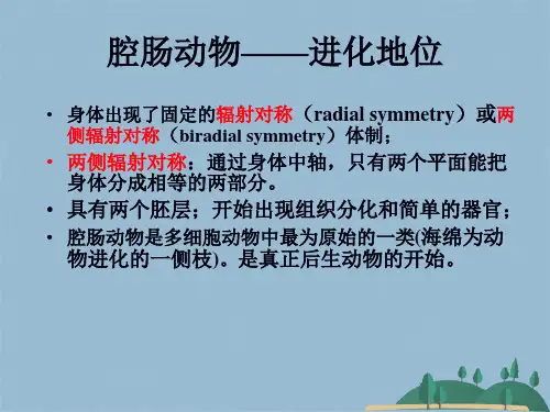动物生物学腔肠动物门(共23张PPT)