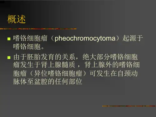 嗜铬细胞瘤的麻醉PPT课件