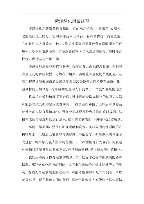 菏泽绿化用紫露草