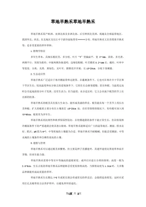 草地早熟禾草地早熟禾