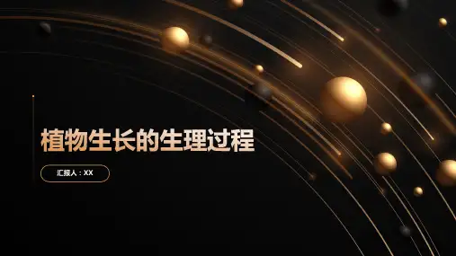 植物生长的生理过程