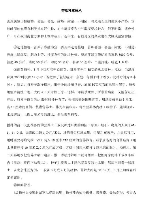苦瓜种植技术