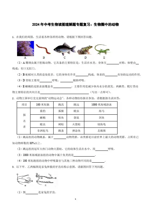 2024年中考生物学读图理解题专题复习：生物圈中的动物(含答案)