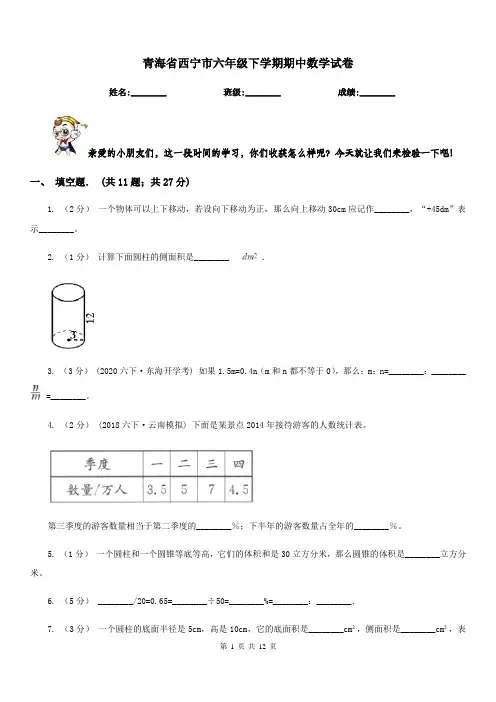 青海省西宁市六年级下学期期中数学试卷