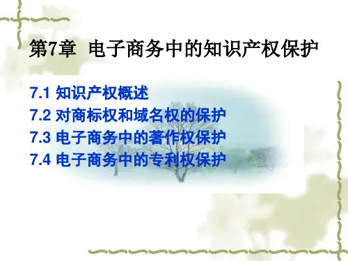 电子商务中的知识产权保护79页PPT