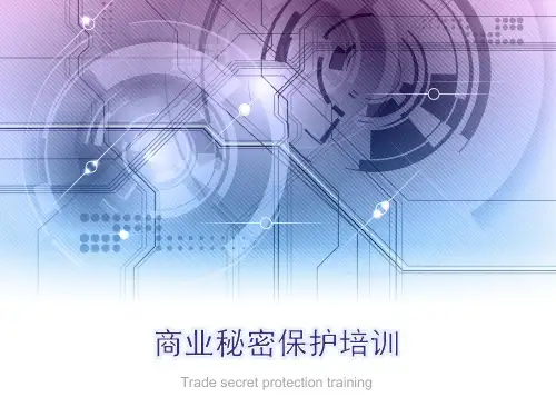 商业秘密保护培训资料PPT(31张)