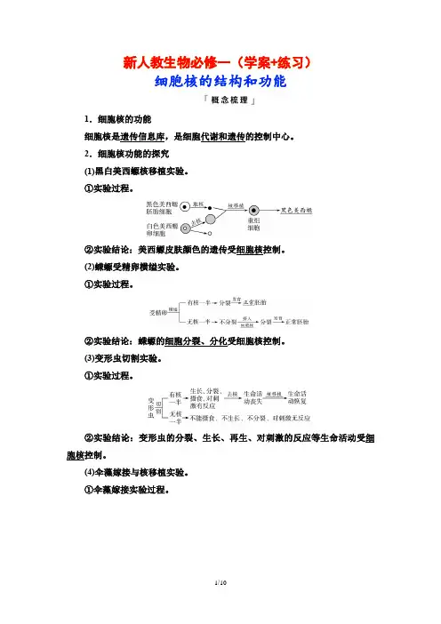 新人教生物必修一(学案+练习)细胞核的结构和功能