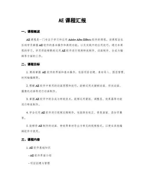 AE课程汇报