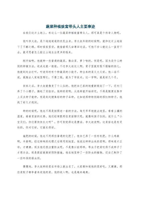 蔬菜种植致富带头人主要事迹