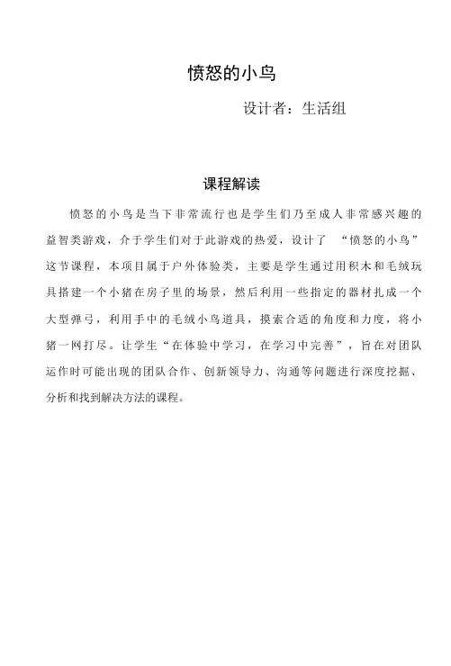 小学《愤怒的小鸟》活动教学设计