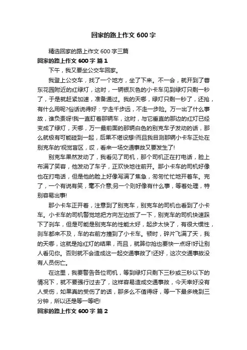 精选回家的路上作文600字三篇