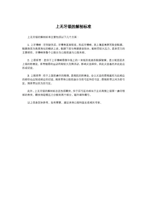 上无牙颌的解剖标准