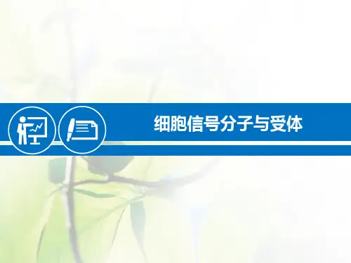 细胞信号分子与受体