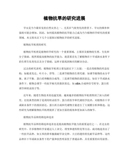 植物抗旱的研究进展