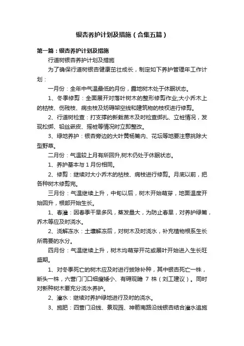 银杏养护计划及措施（合集五篇）