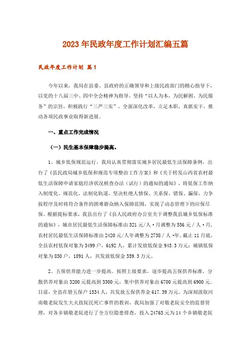 2023年民政年度工作计划汇编五篇